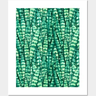 Sansevieria Trifasciata Pattern Posters and Art